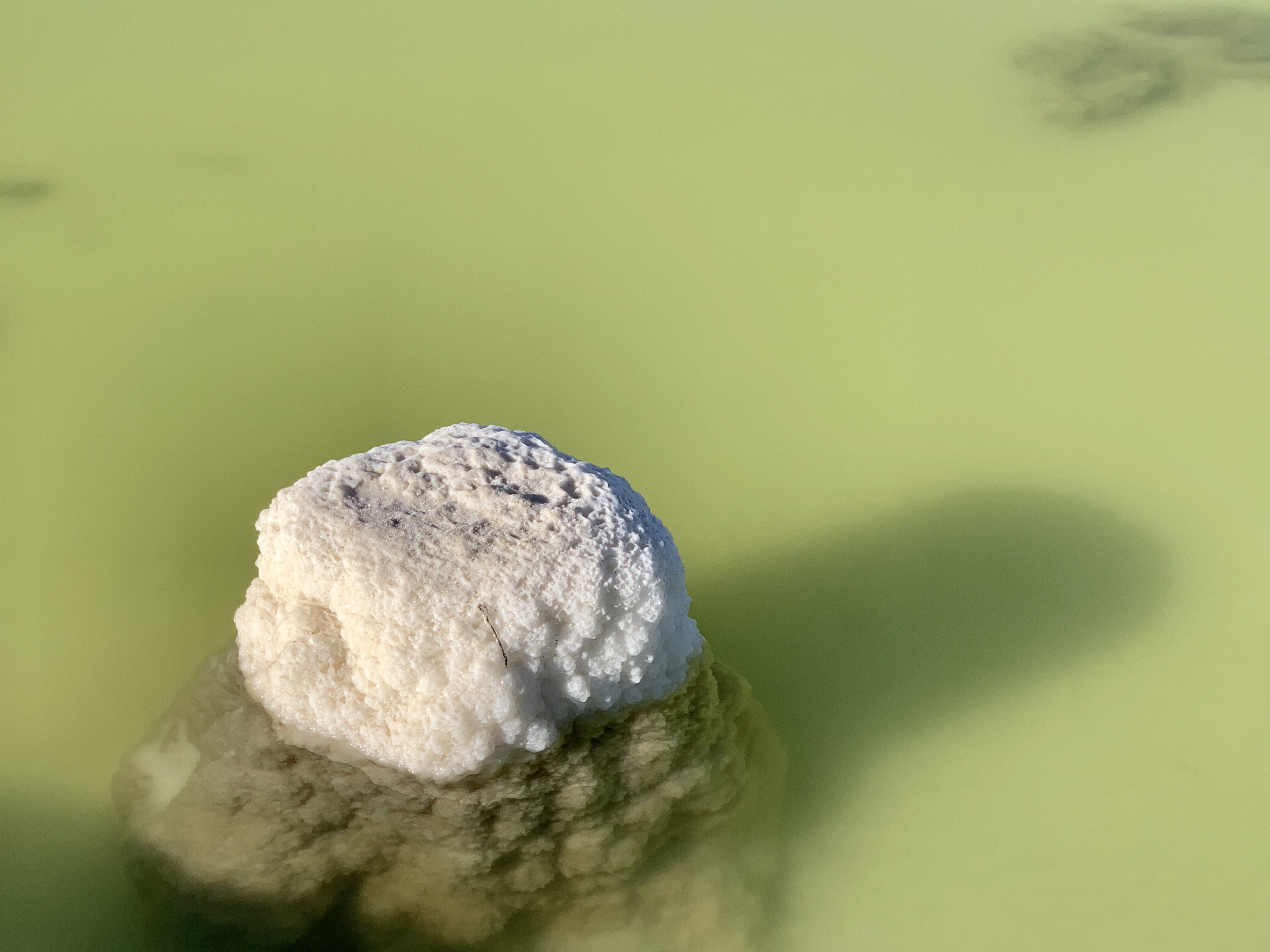 供需格局變化 新能源金屬鈷、鋰跌落神壇