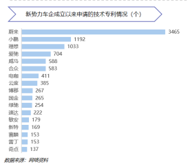 進入關鍵年 新勢力車企分化加速