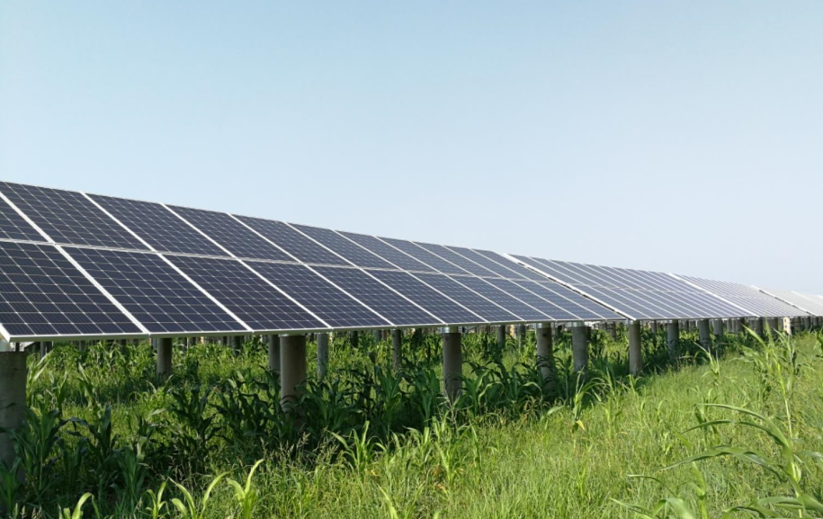 華能山東沾化清風湖100MW項目