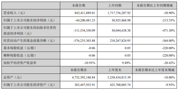 ST安凱主要會(huì)計(jì)數(shù)據(jù)和財(cái)務(wù)指標(biāo)