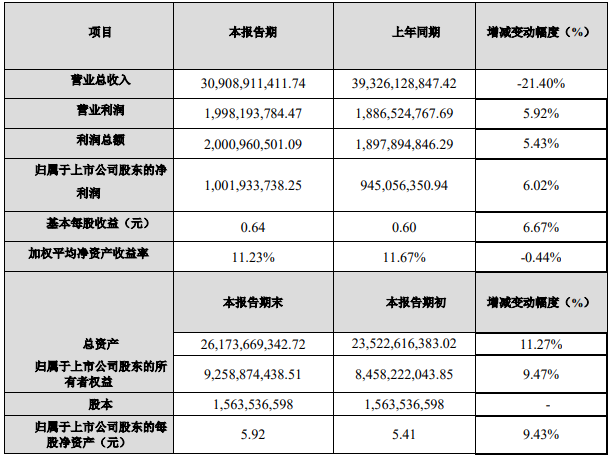 江蘇國泰2020年度主要財務數據和指標