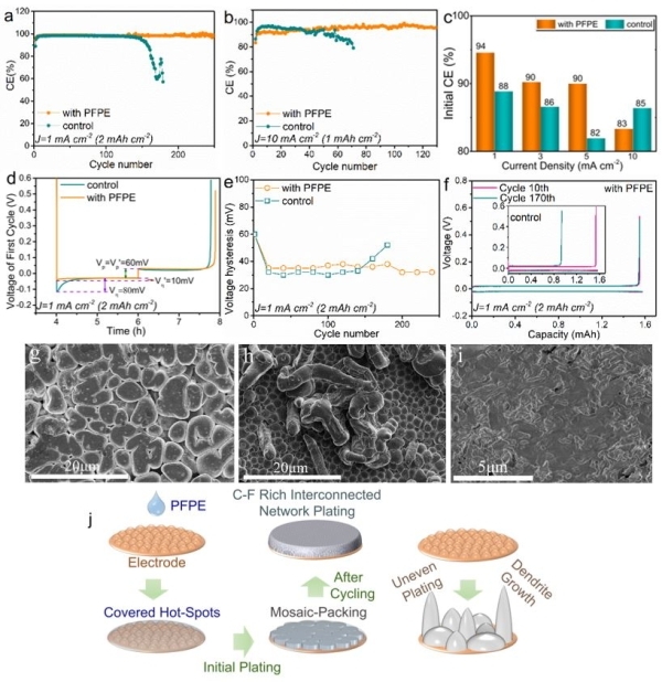圖2.鋰銅非對(duì)稱電池的電化學(xué)性能、鋰在銅表面的沉積形貌和沉積演化