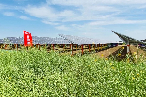 多晶硅,光伏,特變電工