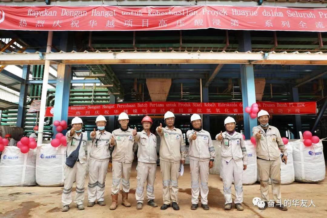 華友鈷業,鎳,前驅體