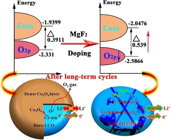 高電壓LiCoO2正極材料穩定策略