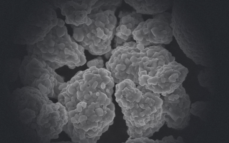 圖/容百科技官網