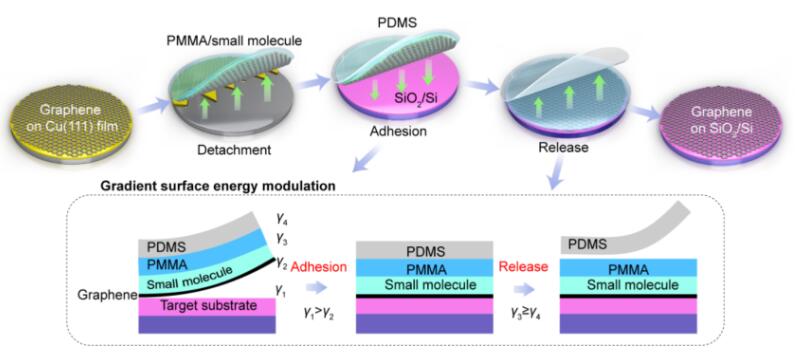 晶圓級石墨烯等二維材料的梯度表面能調控轉移方法