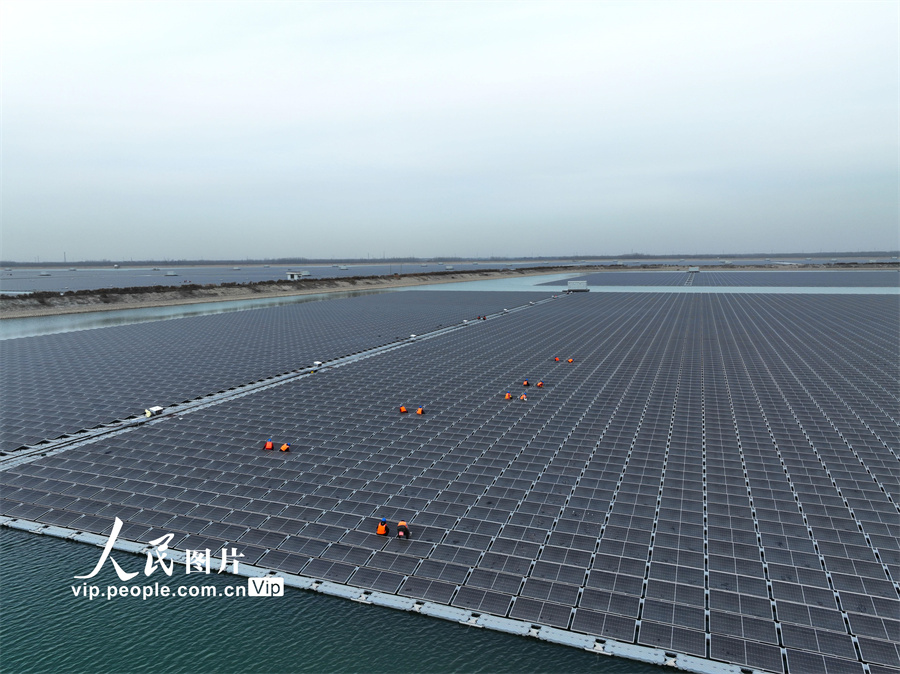 山東聊城：202兆瓦水上漂浮式光伏電站即將投產發電