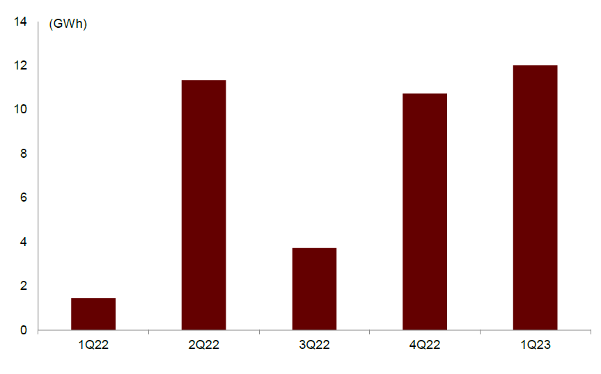 圖表24：一帶一路國(guó)家新增項(xiàng)目容量