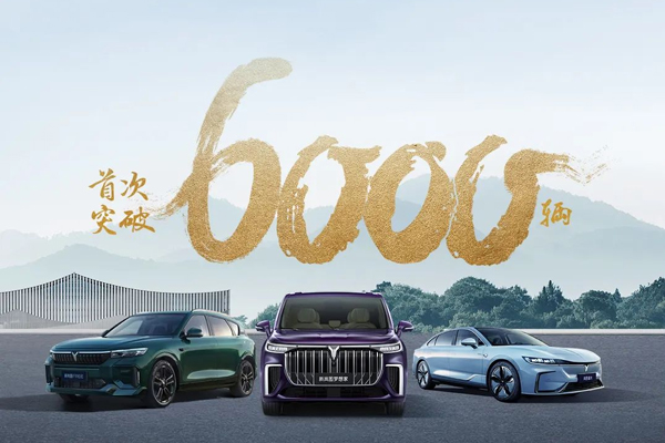 嵐圖汽車 嵐圖汽車