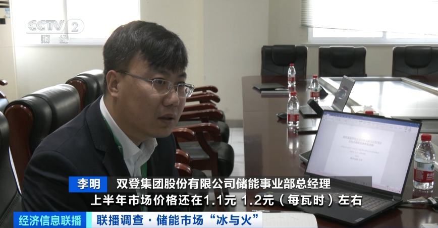 雙登集團股份有限公司儲能事業部總經理 李明