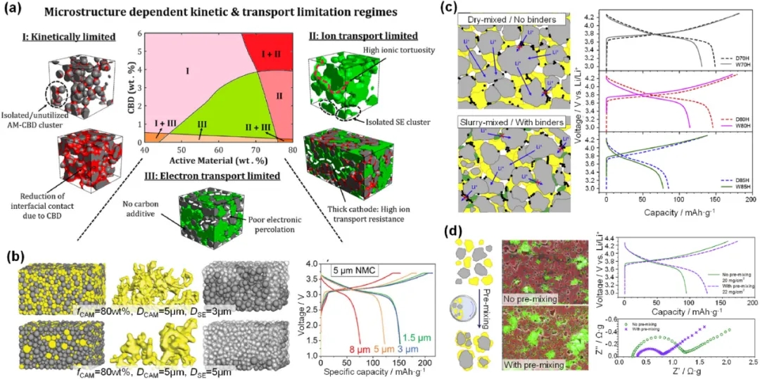 圖11 影響ASSB復(fù)合電極內(nèi)輸運(yùn)動(dòng)力學(xué)的關(guān)鍵因素。