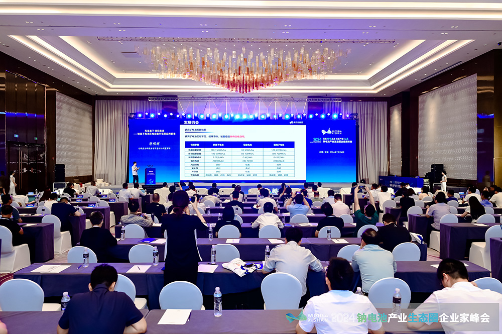  2024中國（無錫）鈉電池產業生態圈企業家峰會現場