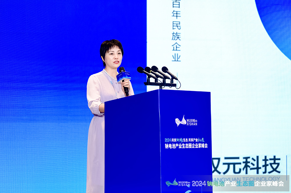 雙元科技邊慧娟：新技術新產品助力鈉電精益制造