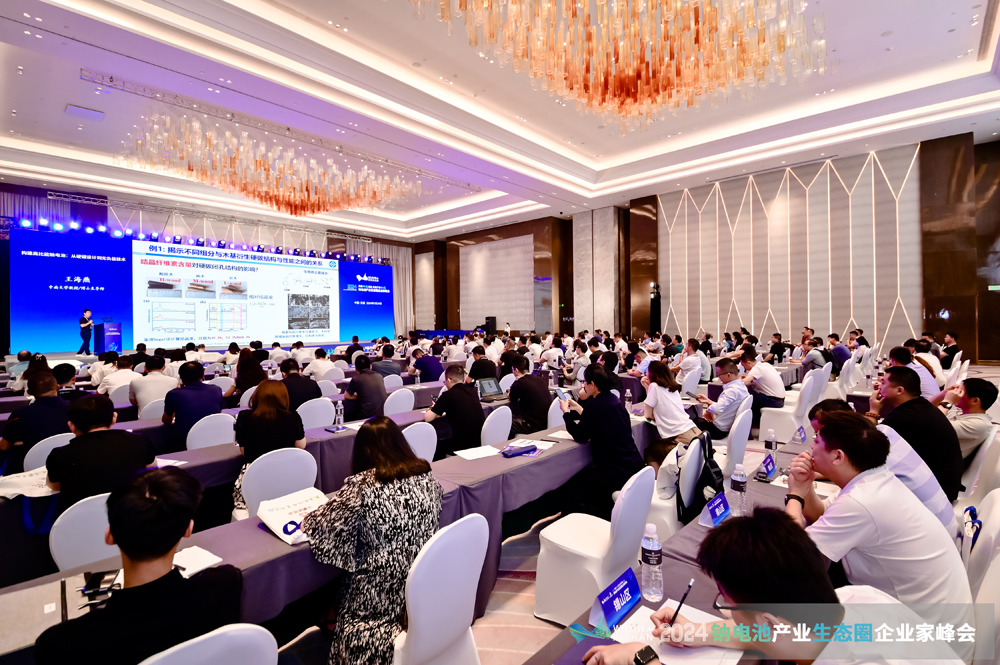 風口？風險？千億級鈉電池賽道如何突圍？