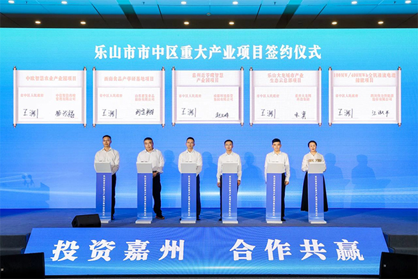 釩電池,儲能,偉力得 釩電池,儲能,偉力得