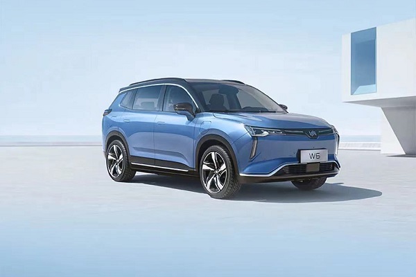 威馬汽車計劃今年復工復產 目標2029年年銷量超100萬輛