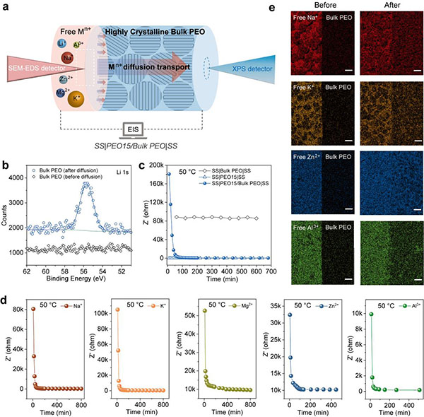 圖1. 高結(jié)晶PEO塊體中的離子自適應(yīng)擴(kuò)散現(xiàn)象 圖片來源:中國科學(xué)院金屬研究所 圖1. 高結(jié)晶PEO塊體中的離子自適應(yīng)擴(kuò)散現(xiàn)象 圖片來源:中國科學(xué)院金屬研究所