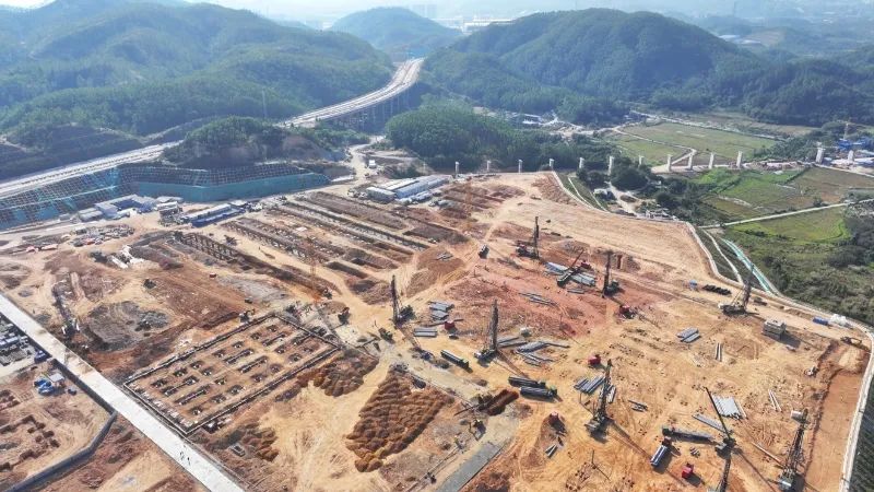 圖片來源：深汕特別合作區融媒體中心