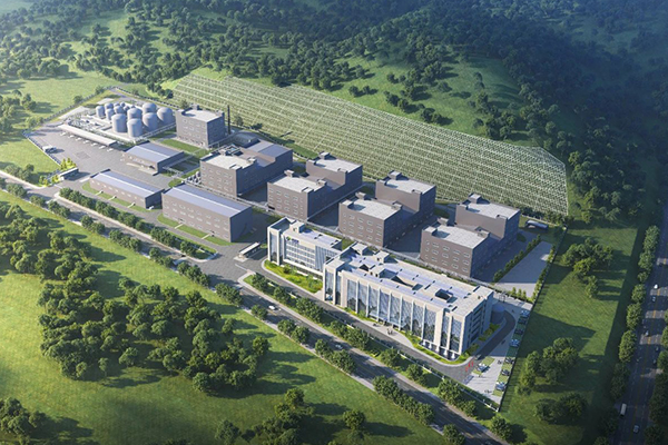 圖片來源:大亞灣發布 圖片來源:大亞灣發布