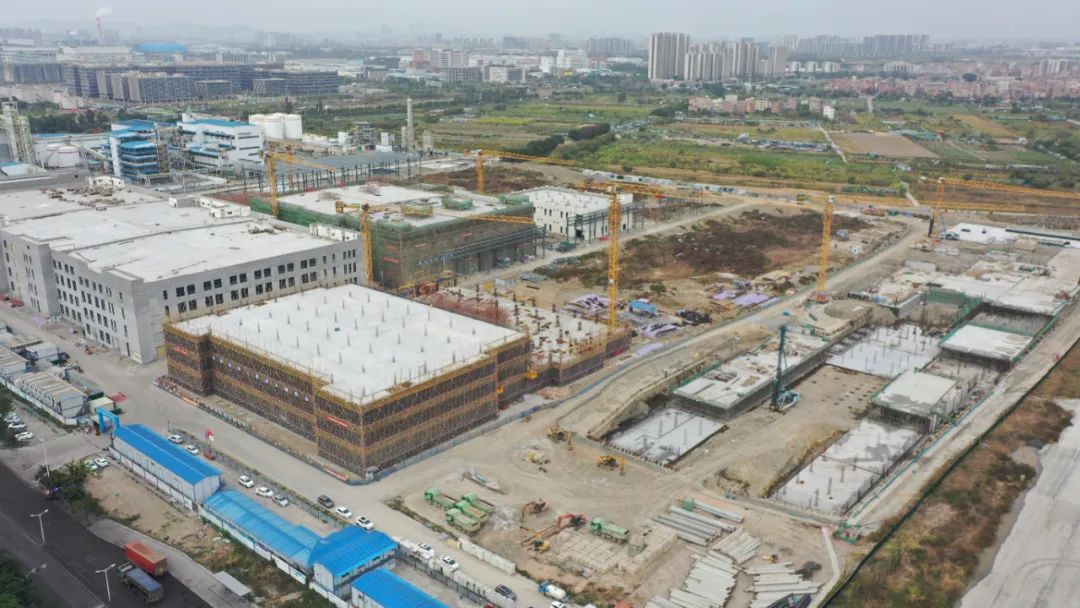 圖/廣東東莞麻涌融媒體中心 圖/廣東東莞麻涌融媒體中心