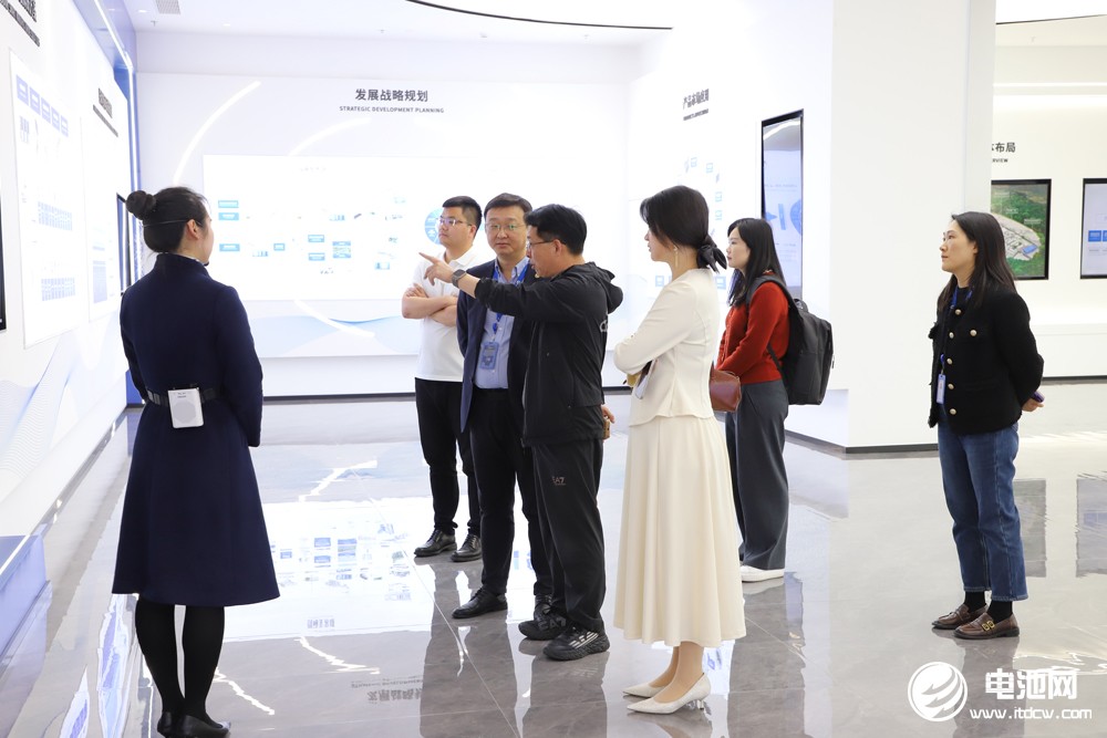 中國電池新能源產業鏈調研采訪團一行參觀考察星云股份