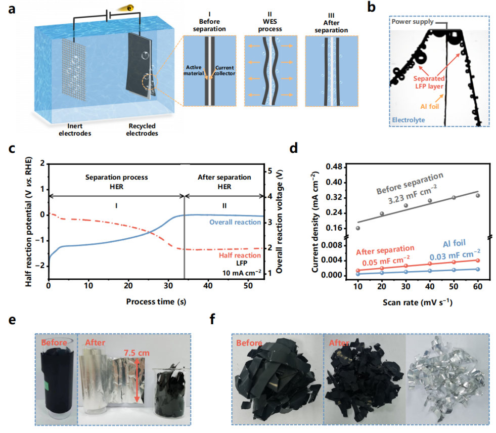 近100%金屬集流體回收率！鋰電池高效回收最新成果發布